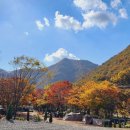 이안 힐링랜드 이미지