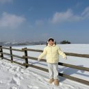 삼포목장 이미지