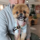 엔일공구 이미지