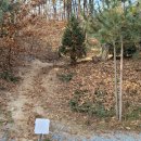 용인밤골캠핑장 이미지