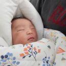 기흥세무서구내식당 | 용인 기흥 산후조리원 추천 :: 노블엘르 VVIP 2주 내돈내산 찐 후기