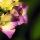 2015년 진주향토시민학교 상반기 결산 이미지