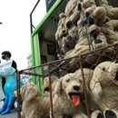 김건희농장 이미지