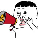 플러플리 FLUFFLY 네이버블로그
