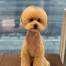 수색동물병원 이미지