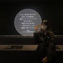 무무라게스트하우스 | [28] 후쿠오카, 시모노세키, 기타큐슈 연말 여행 마지막편 🐡