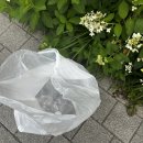 서대문구재활용센터 | 빈 페트병 반납하고 포인트 쌓기 (주민센터 수퍼빈 네프론 이용후기)
