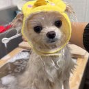 38점5도씨 이미지