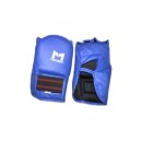 코브라 권투 체육관 이미지