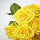 새로운내과의원 이미지