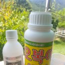 앙성농약사 이미지