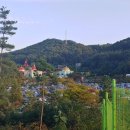 박사진의사묘소 네이버블로그
