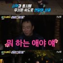 더에이스투어