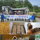윤토마