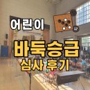 어린이 바둑교실 | 어린이 바둑승급 심사 후기 및 바둑 장점, 방과후 바둑 수업