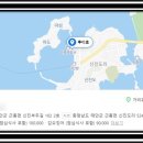 루디피싱