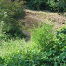 향산다개로 이미지