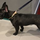 헐노래연습장 이미지