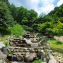 설매재자연휴양림 이미지