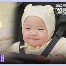 안소아과 Daum카페