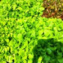 선화농약사 이미지