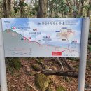 29170-4-A-23 | 한라산 성판악·사라오름 - 23km의 감동