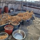 타워크리닝 이미지