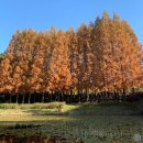 관광단지로(서) | 단풍놀이하러 청주 시티투어 버스 청남대 투어하고 온 후기 (문의문화유산단지, 청남대)