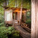 숲속 아지트 이미지