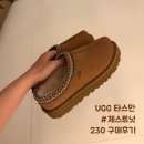 브레드230 | 미국어그 UGG 타스만 체스트넛 구매후기 230 사이즈팁 내돈내산 (인터넷면세점)