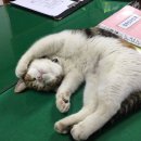 은행파출소 이미지