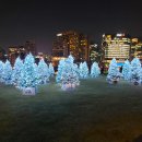 송현동 솔빛축제와 광화문 빛초롱 축제 이미지