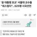 서울대 교수들 시국선언 이미지