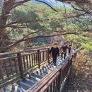 용마산 자락길 코스 이미지