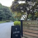 카페에버 | 용인 스노우피크 카페 후기 에버랜드점