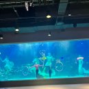 이마트24 엑스포정문점 | 대전 신세계백화점 대전엑스포아쿠아리움 방문기 7살 아이와 함께한 최고의 하루!