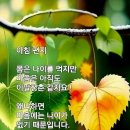 행복한아침 Daum카페