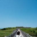 영덕야생동물구조센터 | 일본 홋카이도 렌트카 여행 시레토코 국립공원 위치 야생 곰 트레킹 전망 후기