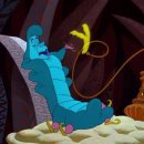 앨리스캣(Alice CAT) 이미지