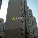 밤실로1 Daum카페