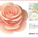 핑크메드 이미지