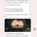 찐 빈티지감성 디카 아이폰 스냅 호이테 스냅 계약 후기(짝궁할인)