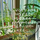 태임사 이미지