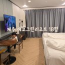 에코월드방역 - 하남시 | 제주 가성비 호텔 한림 에코그린리조트 18평