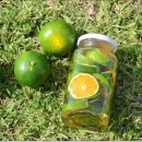 소녀농장 이미지