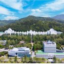 조선대학교 이미지