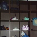 포항검도관 이미지