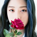 뉴스flower 이미지