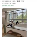 체형교정필라테스 | 한티역 통증·체형교정 필라테스 후기 공개