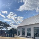 행복한목장 | 제주 아기랑 목장 카페 알프스제주 후기 | 생태 놀이터 승마 체험까지 한 번에!